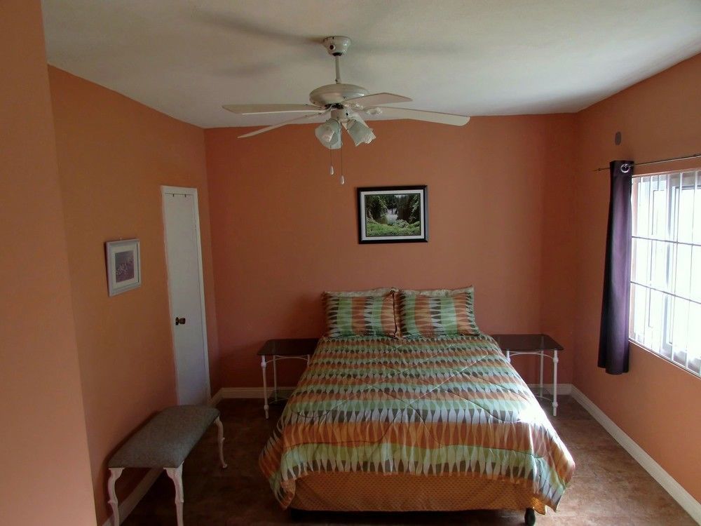 Centrally Located Guest Apartments Kingston Luaran gambar