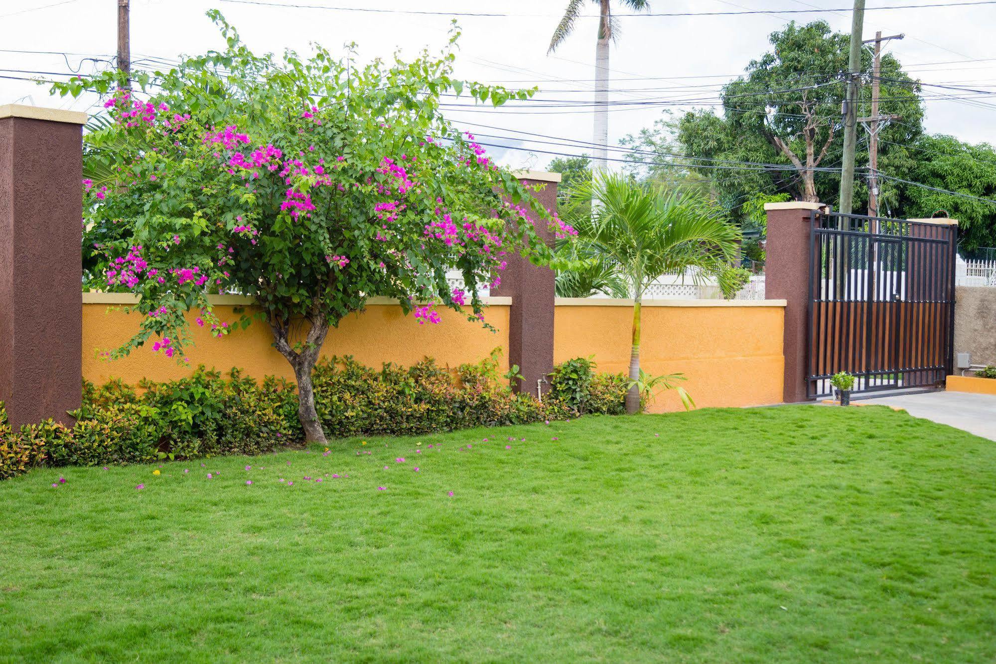Centrally Located Guest Apartments Kingston Luaran gambar