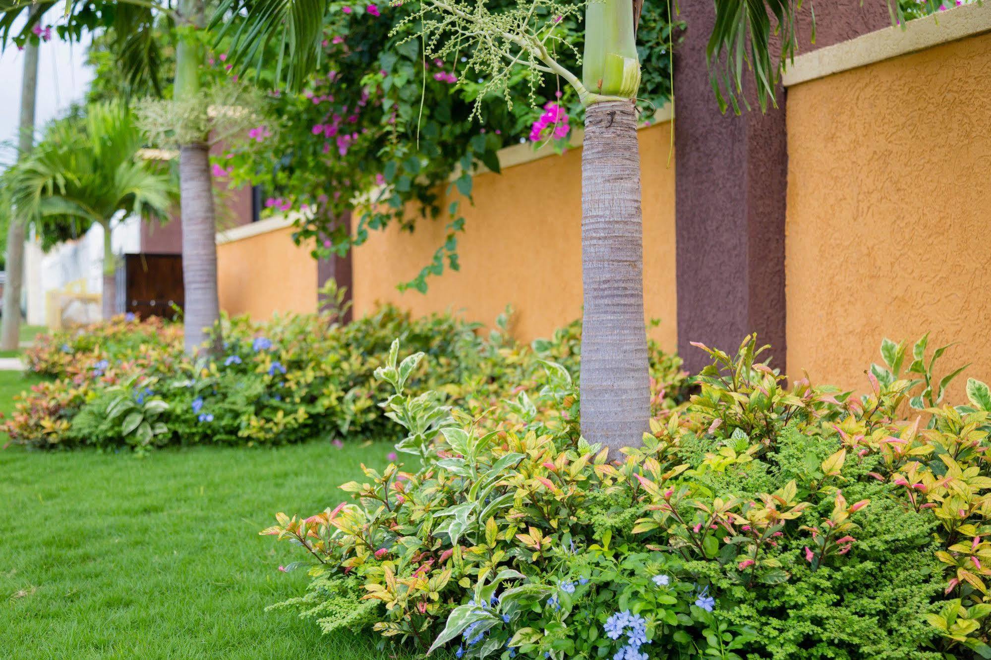 Centrally Located Guest Apartments Kingston Luaran gambar