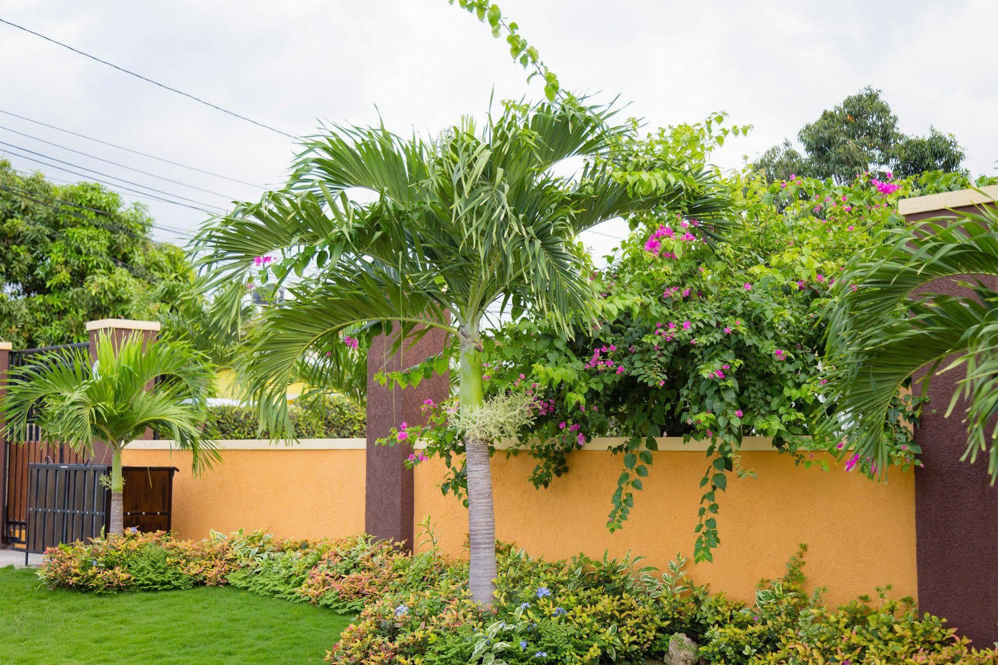 Centrally Located Guest Apartments Kingston Luaran gambar
